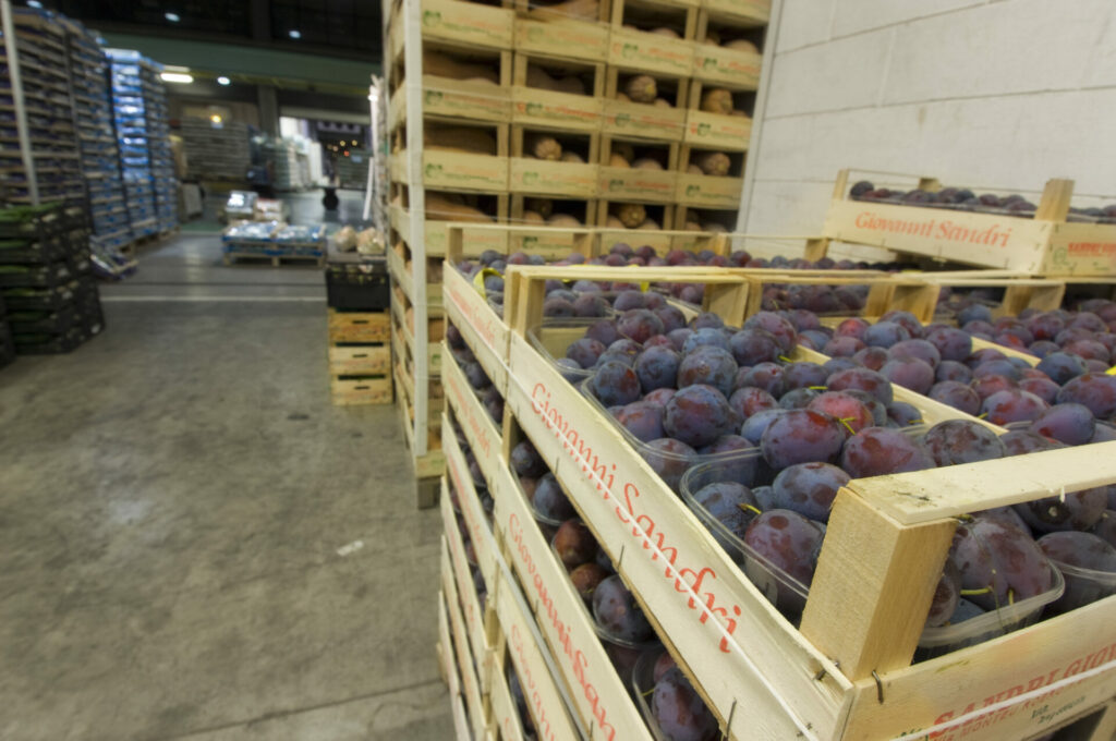 ortofrutta verona basso maria_DSC0909 Basso Maria - Frutta e verdura a Verona - svg+xml;charset=utf