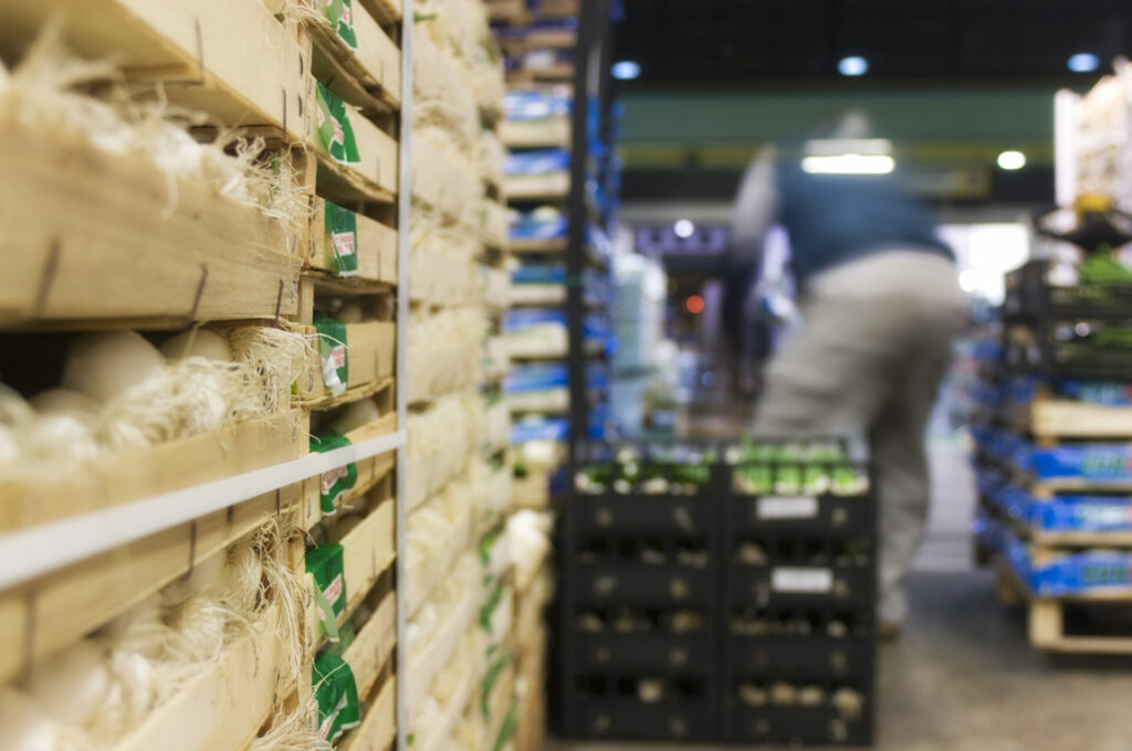 ortofrutta verona basso maria_DSC0923 Basso Maria - Frutta e verdura a Verona - svg+xml;charset=utf