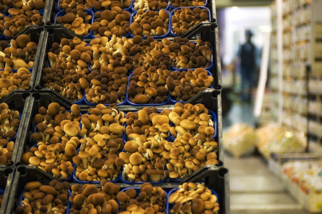 ortofrutta verona basso maria_DSC0936 Basso Maria - Frutta e verdura a Verona - svg+xml;charset=utf