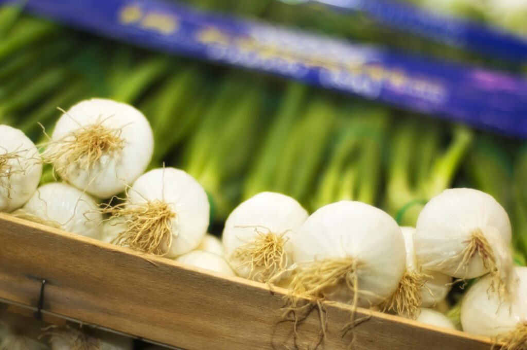 ortofrutta verona basso maria_DSC0954 Basso Maria - Frutta e verdura a Verona - svg+xml;charset=utf