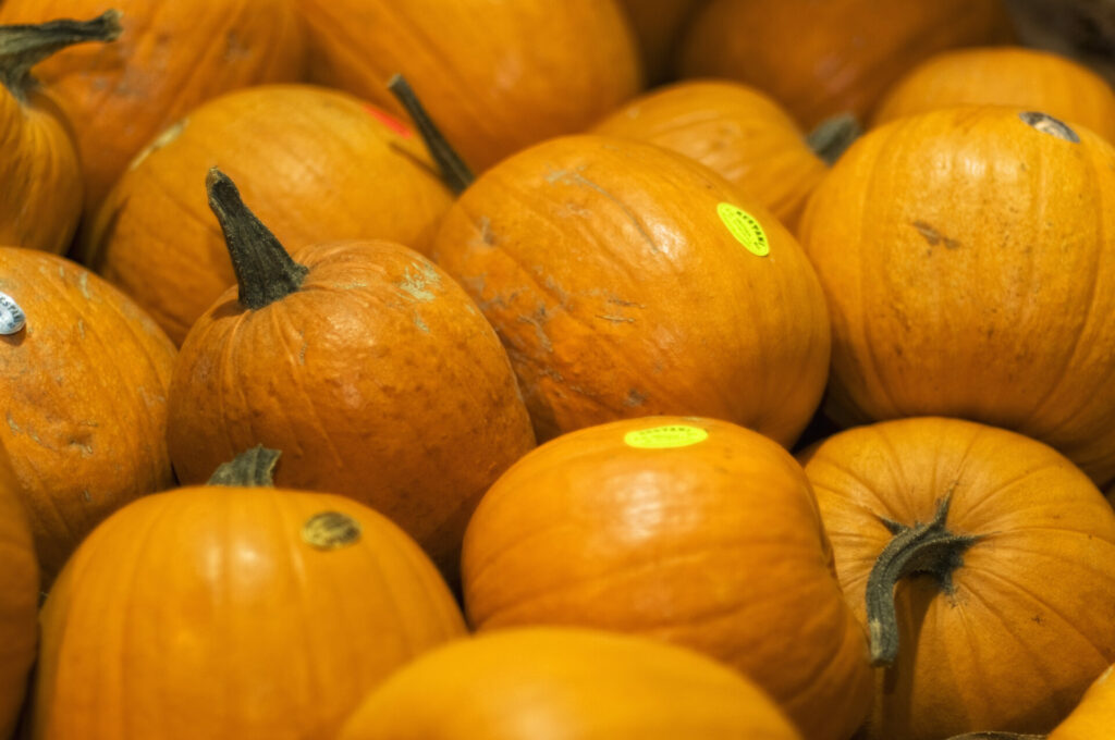 ortofrutta verona basso maria_DSC0960 Basso Maria - Frutta e verdura a Verona - svg+xml;charset=utf