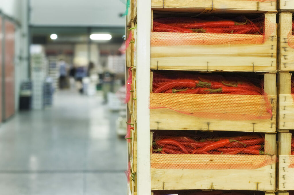 ortofrutta verona basso maria_DSC0990 Basso Maria - Frutta e verdura a Verona - svg+xml;charset=utf