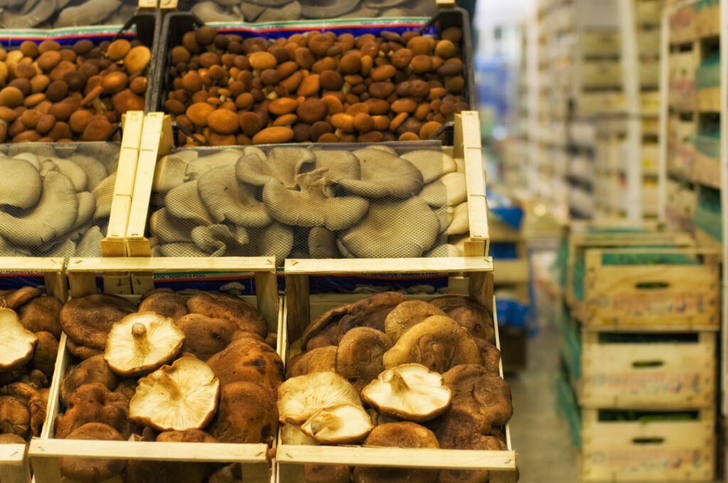 ortofrutta verona basso maria_DSC1051 Basso Maria - Frutta e verdura a Verona - svg+xml;charset=utf