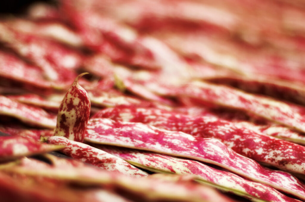 ortofrutta verona basso maria_tDSC1077 Basso Maria - Frutta e verdura a Verona - svg+xml;charset=utf